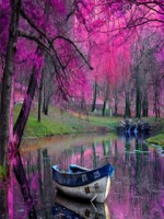 /album/bakker-csajok/beautifull-view-1-jpg/