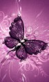 /album/fenykepgaleria/purp-butterfly-jpg1/