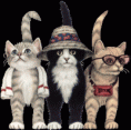 /album/fenykepgaleria/segges-gif/