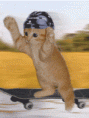 /album/fenykepgaleria/mizu-gif/